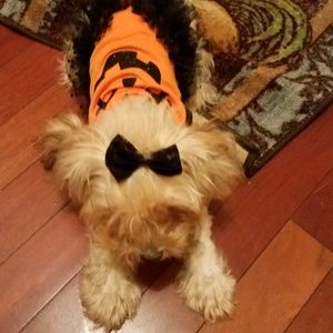 Meet your Posher, Keyla